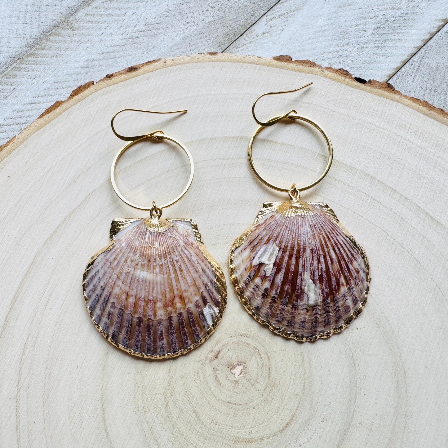 Shell Earrings