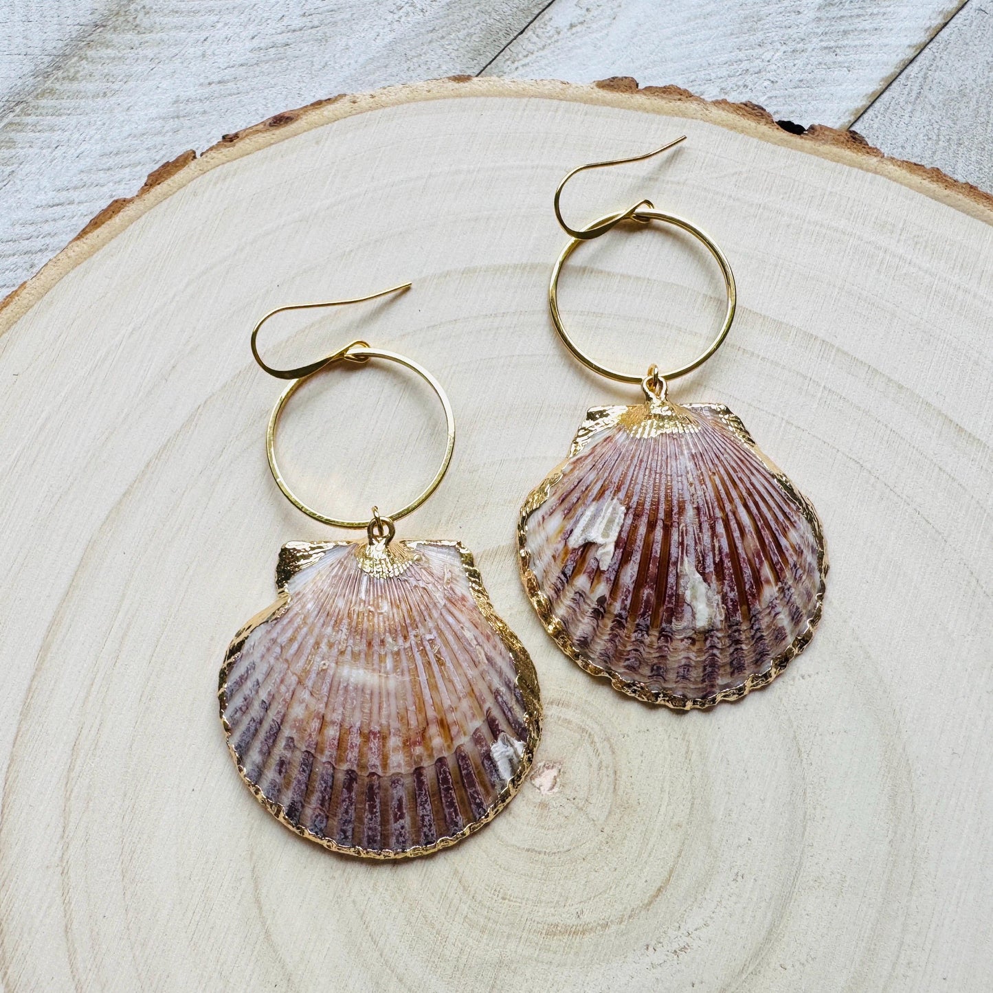Shell Earrings