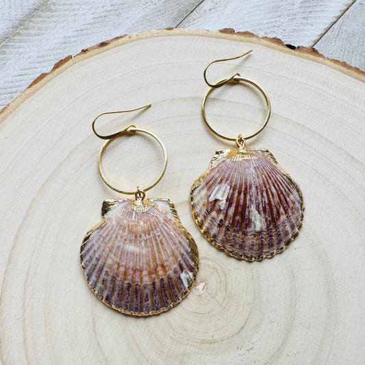 Shell Earrings