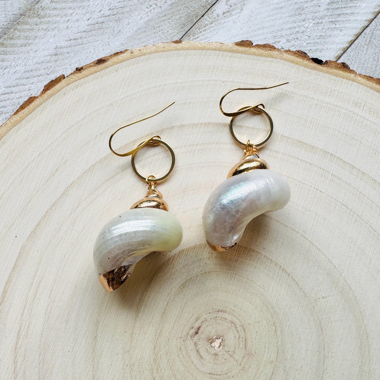 Shell Earrings
