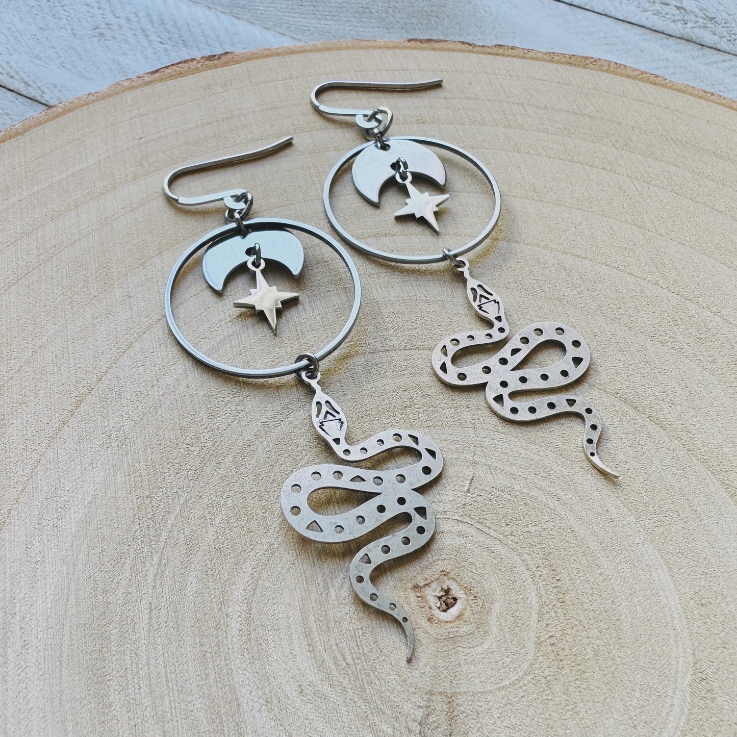 Stainless Steel Snake Earrings