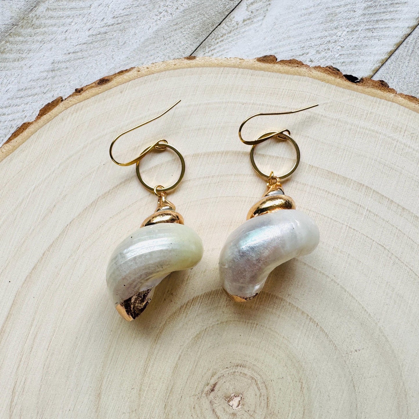 Shell Earrings
