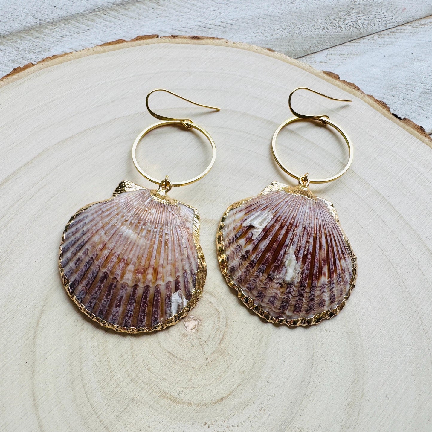 Shell Earrings