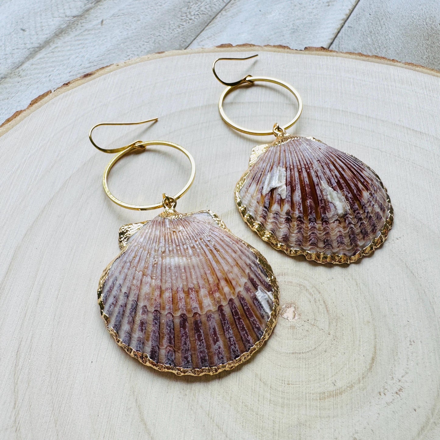 Shell Earrings