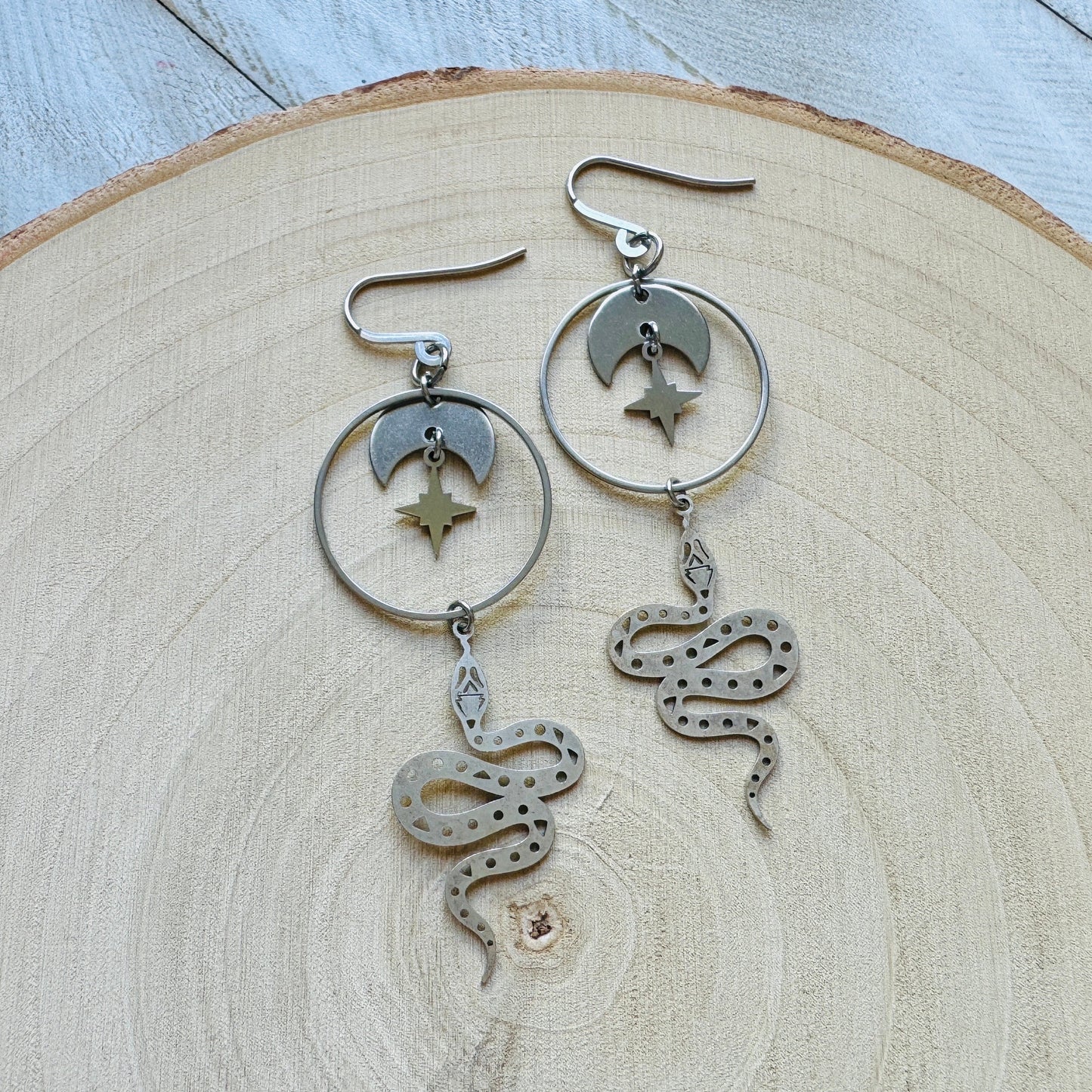 Stainless Steel Snake Earrings