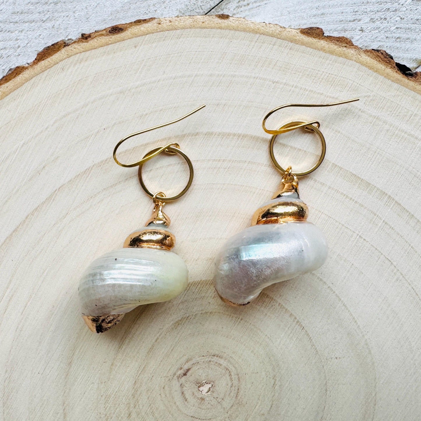 Shell Earrings